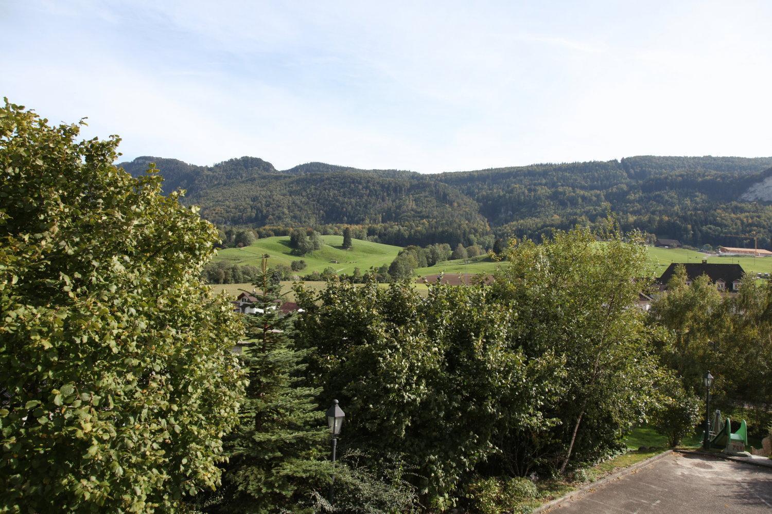 Hotel Gasthof Kreuz Welschenrohr Dış mekan fotoğraf